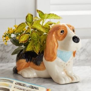 New Pioneer Woman Charlie Planter